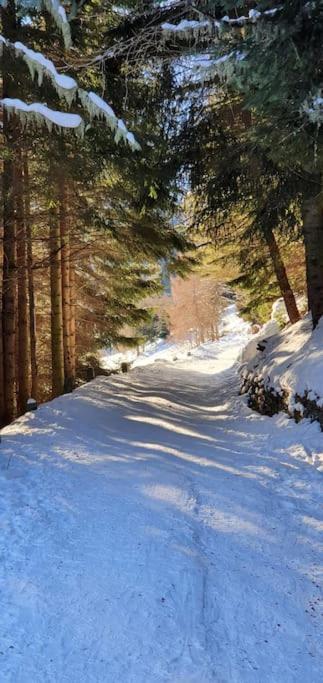 Villa Residenza Sofia - Ponte Di Legno Fraz. Pezzo Exterior foto
